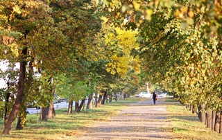 Up to +30 degrees Celsius is expected in Uzbekistan over the weekend