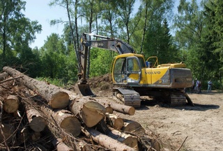 Граждане Узбекистана смогут останавливать изъятие зеленых зон в населенных пунктах