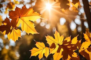 Weather forecast for October 24th