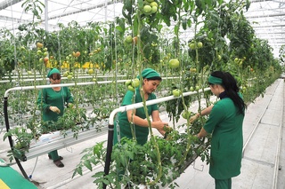 Арзыў еткен адам мийнет етеди