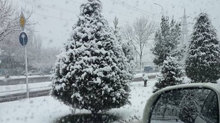 Йўл ҳаракати хавфсизлиги хизмати аҳолини огоҳлантирди