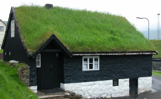 Томларни кўкаламзорлаштириш ҳам ҳароратни пасайтиришга хизмат қилади