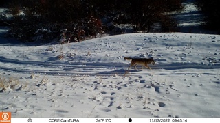 Бугун Ўзбекистон бўйича ёғингарчилик кутилмайди
