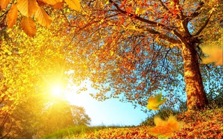 Прогноз погоды на 4 ноября