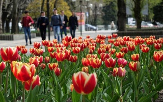 Прогноз погоды на 12 апреля