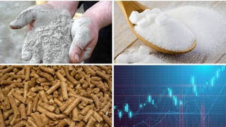 На Узбекской республиканской товарно-сырьевой бирже снизились цены на цемент, сахар и шрот