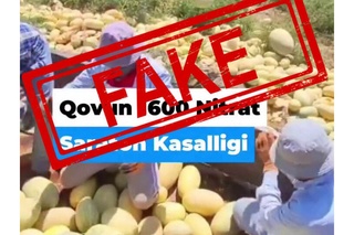 Сурхондарёда фуқаролар қовундан заҳарланаётгани тасдиқланмади