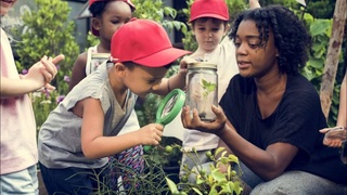 ЮНЕСКО призывает сделать экологическое образование основным компонентом учебных программ во всех странах к 2025 году