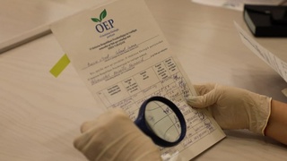 Экспертная группа приступила к проверке правильности составления подписных листов