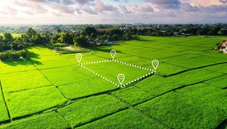 В Узбекистане упрощен порядок продажи земельных участков