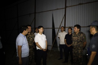 58 дона кўпйиллик дарахт бир кечада кесиб ташланган — Давлат экология қўмитаси