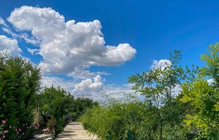 Weather forecast for April 18