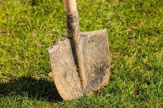 Yunusoboddagi maktab oʻquvchilari oʻz xohishiga koʻra ishga chiqqan — Boshqarma