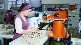 Использовать потенциал отрасли в полной мере