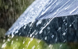 Узгидромет: в середине недели в некоторых регионах возможны дожди