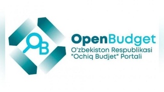 Первый сезон "Инициативного бюджета" начнется 1 февраля