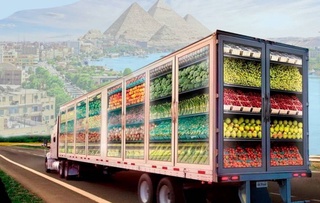 Фруктам из Узбекистана открыт путь на египетский рынок