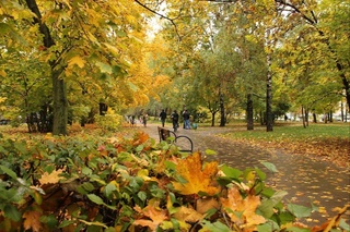 A cold snap is expected in Uzbekistan over the weekend