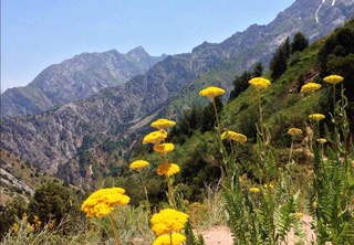 Ушбу иш ҳафтасида ҳаво ҳарорати 39 даражагача кўтарилади