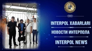 Интерпол: Польша выдала Узбекистану преступника, разыскиваемого за изнасилование
