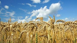 Ishimga mehrim boʻlakcha...