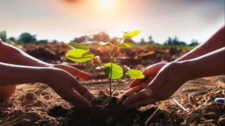 На электронной платформе «Яшил макон» будет обеспечена еще большая прозрачность