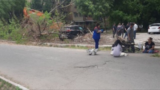 1 ёшли бола устига дарахт қулашининг сабаблари аниқланди