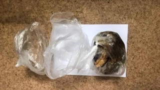 Navoiy viloyatida qariyb 5 kg narkotik modda musodara qilindi