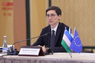 The prospects of cooperation with the FAR are analyzed