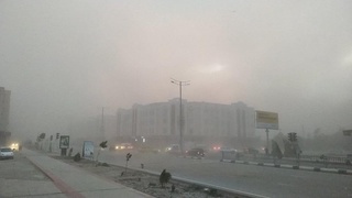 Бош прокуратура: ҳафта кунларини жуфт ва тоқ рақамли автомобилларга бўлиш масаласи кўриб чиқилади