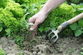 “Yoshlar daftari”ga kiritilgan oʻgʻil-qizlarning 2 ming 560 nafariga amaliy yordam koʻrsatildi