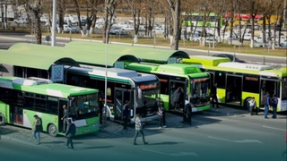 Байрам кунлари пойтахт кўчаларида автобус йўналишларининг фаолияти тартиби маълум қилинди