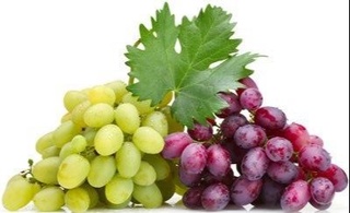 O‘zbekiston 13 ta davlatga 51 ming tonnadan ziyod uzum eksport qildi