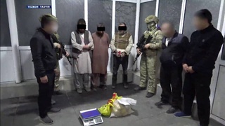 На границе Узбекистана пресечена контрабанда более 35 кг наркотиков