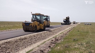 Сурхондарёда қарийб тўққиз ярим мингга яқин дарахт кўчирилиши Экология вазирлиги томонидан рад этилди