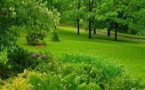 Табиат ва инсон уйғунлиги