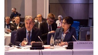 ОБСЕ готова направить в Узбекистан наблюдателей на референдум по конституционной реформе