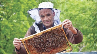 Сох меняется - мечты сбываются