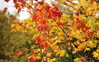 29-октябрь күни болатуғын ҳаўа райы ҳаққында мағлыўмат