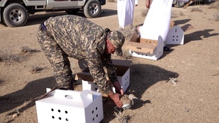 1 500 ноёб қуш табиатга қўйиб юборилди