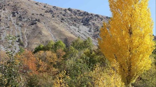 Дам олиш кунлари қуёшли ва илиқ об-ҳаво сақланиб туради