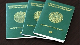 Обсуждая вопросы сокращения безгражданства