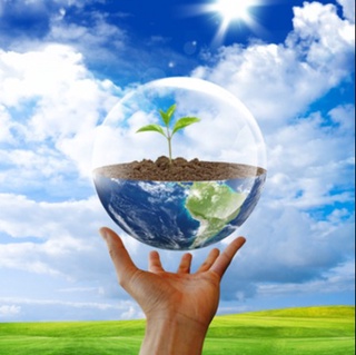 Жорий йилнинг ўтган 9 ойида экология соҳасида қанча қонунбузилишлар аниқланди?