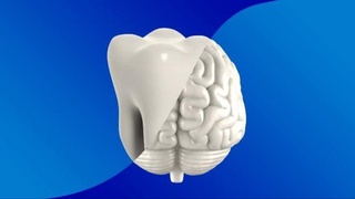 Kasal tishlar xotira susayishiga olib keladi