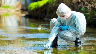 WHO: more than a billion people are at risk of cholera