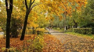 Узгидромет: в Узбекистане в середине недели ожидается резкое похолодание до 3 градусов мороза