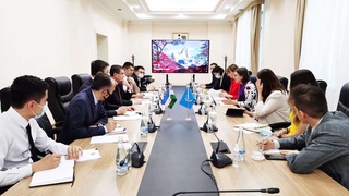 Обсуждены вопросы дальнейшего развития сотрудничества между Узбекистаном и ПРООН