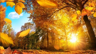 Прогноз погоды на 7 декабря