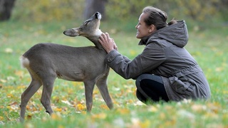 ФАО, МЭБ и ВОЗ призывают усилить координацию для минимизации угроз здоровью