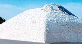 Пахта қабул қилиш масканлари мавсумга қанчалик тайёр?